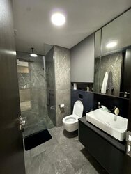 Irwell Hill Residences (D9), Apartment #455791641